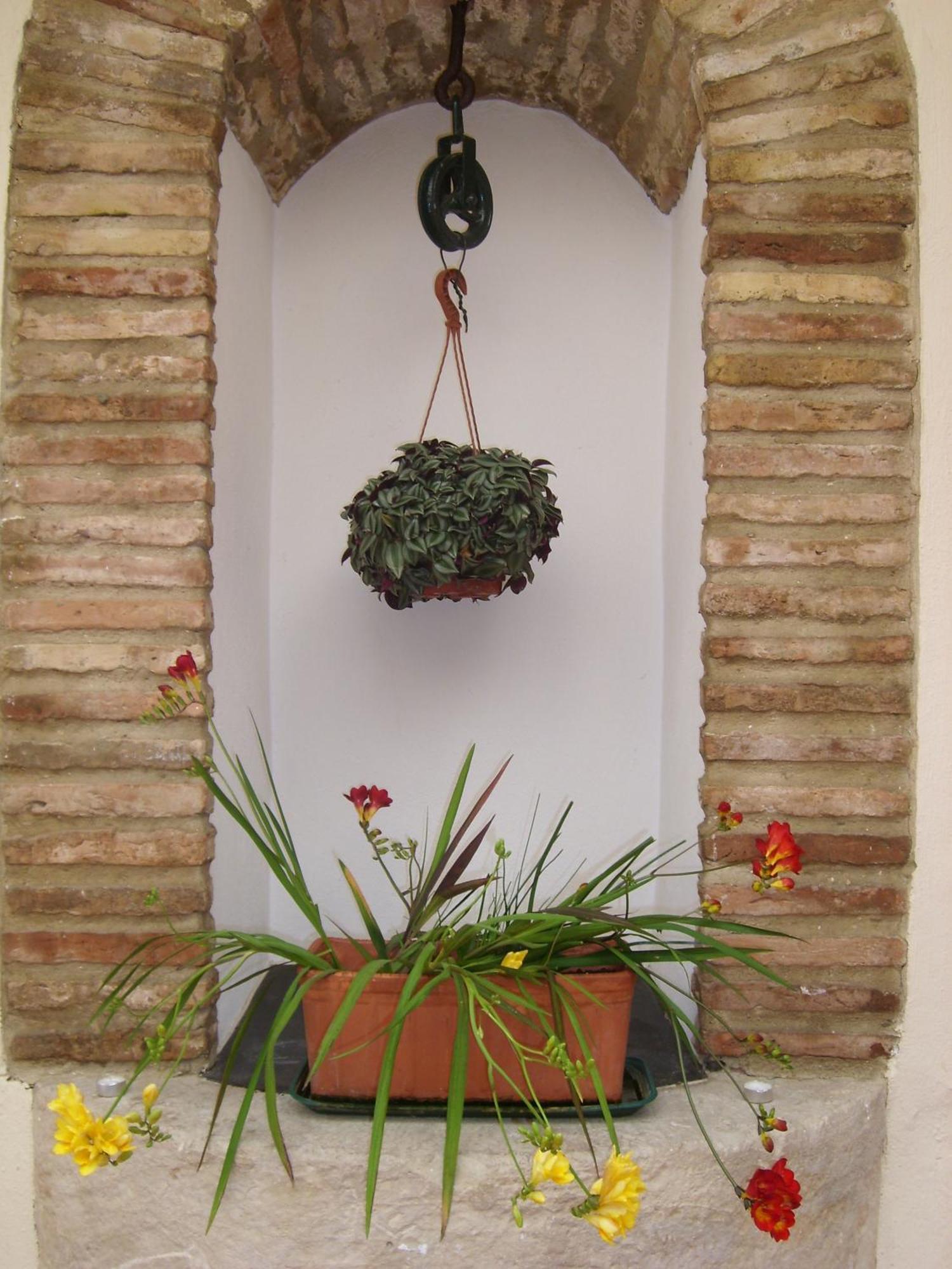 Plateros Córdoba